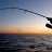worldfisher sunset hookup
